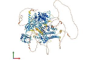 AlphaFold protein structure predicition of Human Recombinant SBNO1 Protein, UniprotID A3KN83 (SBNO1 Protein (AA 1-1393) (His tag))