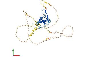 AlphaFold protein structure predicition of Mouse Recombinant Foxi2 Protein, UniprotID Q3I5G5