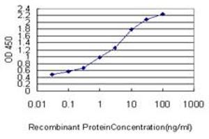 Detection limit for recombinant GST tagged CRTAP is approximately 0. (CRTAP antibody  (AA 307-401))