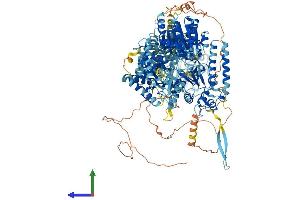 AlphaFold protein structure predicition of Mouse Recombinant Dhx29 Protein, UniprotID Q6PGC1 (DHX29 Protein (AA 1-1365) (His tag))