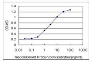 ELISA image for anti-SMAD, Mothers Against DPP Homolog 3 (SMAD3) antibody (ABIN781907) (SMAD3 antibody)