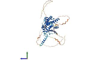 Protein Structure (PS) image for Metaxin 1 (MTX1) (AA 1-466) protein (His tag) (ABIN7549603)