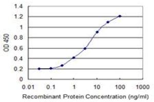 Detection limit for recombinant GST tagged KLHL2 is 0. (KLHL2 antibody  (AA 1-66))