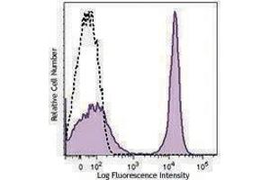 Flow Cytometry (FACS) image for Mouse anti-Rat IgG2a antibody (PE) (ABIN2667187) (Mouse anti-Rat IgG2a Antibody (PE))