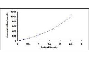 Typical standard curve (CCL7 ELISA Kit)