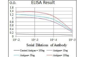 Black line: Control Antigen (100 ng), Purple line: Antigen(10 ng), Blue line: Antigen (50 ng), Red line: Antigen (100 ng), (SCGB1A1 antibody  (AA 26-91))