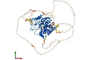 AlphaFold protein structure predicition of Human Recombinant MTMR14 Protein, UniprotID Q8NCE2 (MTMR14 Protein (AA 1-650) (His tag))