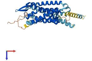GPR15 Protein (AA 1-360) (His tag)