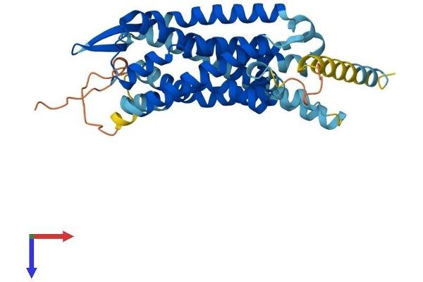 GPR15 Protein (AA 1-360) (His tag)