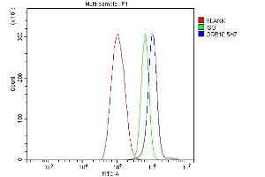 Flow Cytometry analysis of THP-1 cells using anti-GRB10 antibody (ABIN7599161). (GRB10 antibody  (AA 1-251))