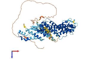 AlphaFold protein structure predicition of Human Recombinant RHPN2P1 Protein, UniprotID A8MT19 (RHPN2P1 Protein (AA 1-583) (His tag))
