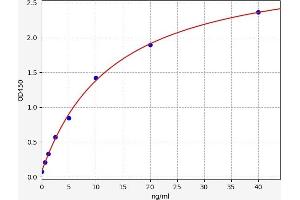 Adipsin ELISA Kit