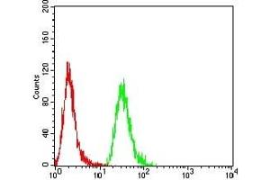 Flow cytometric analysis of Hela cells using MB mouse mAb (green) and negative control (red).