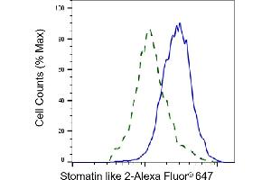 Validation of Stomatin like 2 knockdown using flow cytometry.