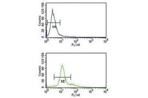 PCSK2 antibody flow cytometry analysis of K562 cells (bottom histogram) compared to a negative control (top histogram). (PCSK2 antibody  (AA 318-346))