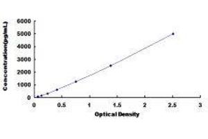 Toll-Like Receptor 3 (TLR3) ELISA Kit