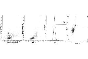 Image no. 1 for anti-Interleukin 4 (IL4) antibody (ABIN1107847) (IL-4 antibody)