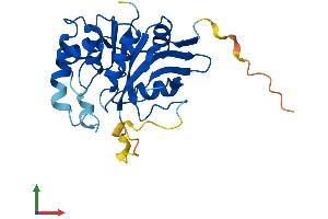 AlphaFold protein structure predicition of Mouse Recombinant Gucd1 Protein, UniprotID Q8BZI6