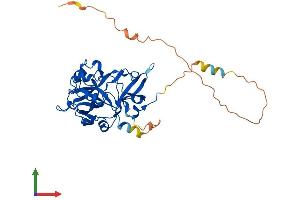AlphaFold protein structure predicition of Human Recombinant HMCES Protein, UniprotID Q96FZ2 (C3orf37 Protein (AA 1-354) (His tag))