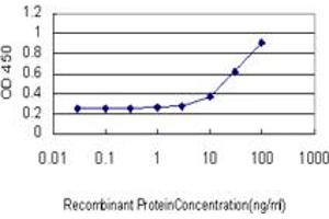 Detection limit for recombinant GST tagged MBNL1 is approximately 3ng/ml as a capture antibody. (MBNL1 antibody  (AA 1-382))