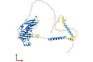 Protein Structure (PS) image for Sarcoglycan, epsilon (SGCE) (AA 1-437) protein (His tag) (ABIN7562523)