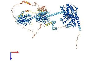 PDE11A Protein (AA 1-933) (His tag)