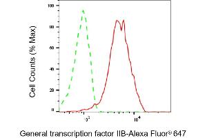 Flow cytometric analysis of General transcription factor IIB expression in HeLa cells using General transcription factor IIB antibody (ABIN7798706), 1:2,000). (Recombinant GTF2B antibody)