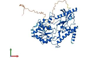 AlphaFold protein structure predicition of Human Recombinant FUT11 Protein, UniprotID Q495W5