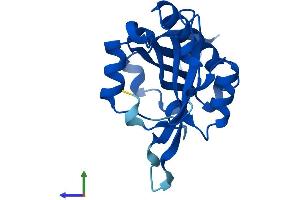 AlphaFold protein structure predicition of Mouse Recombinant Naa20 Protein, UniprotID P61600