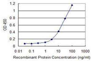 ASB3 antibody  (AA 1-518)