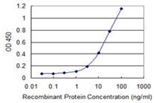 ASB3 antibody  (AA 1-518)