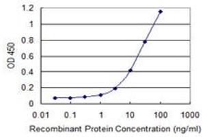 Detection limit for recombinant GST tagged ASB3 is 0. (ASB3 antibody  (AA 1-518))