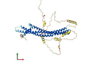 AlphaFold protein structure predicition of Human Recombinant ICA1 Protein, UniprotID Q05084