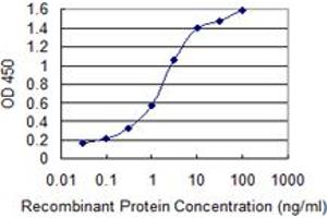 Detection limit for recombinant GST tagged ACVR1 is 0. (ACVR1 antibody  (AA 21-120))