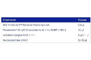 Pipetting Scheme for PCR (PhoenixDx® 2019-nCoV RNA Detection Kit)