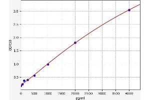 CD8 alpha ELISA Kit