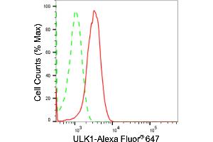Flow cytometric analysis of ULK1 expression in HepG2 cells using ULK1 antibody (ABIN7800768), 1:2,000). (Recombinant ULK1 antibody)