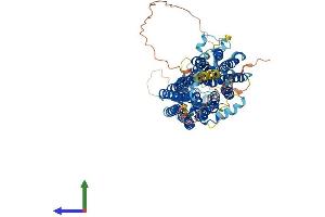 AlphaFold protein structure predicition of Human Recombinant SLCO4C1 Protein, UniprotID Q6ZQN7 (SLCO4C1 Protein (AA 1-724) (His tag))
