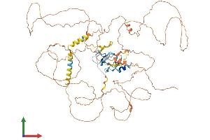AlphaFold protein structure predicition of Human Recombinant SCEL Protein, UniprotID O95171 (SCEL Protein (AA 1-688) (His tag))