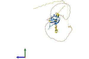 Protein Structure (PS) image for RNA-Binding Protein S1 (RNPS1) (AA 1-305) protein (His tag) (ABIN7564898)