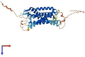 Somatostatin Receptor 4 (SSTR4) (AA 1-385) protein (His tag)