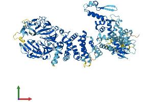 AlphaFold protein structure predicition of Human Recombinant HERC3 Protein, UniprotID Q15034 (HERC3 Protein (AA 1-1050) (His tag))
