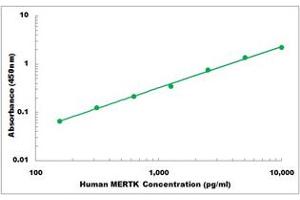 Representative Standard Curve (MERTK ELISA Kit)