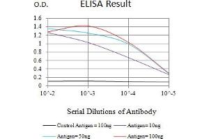 Black line: Control Antigen (100 ng),Purple line: Antigen (10 ng), Blue line: Antigen (50 ng), Red line:Antigen (100 ng) (GANP antibody  (AA 293-442))