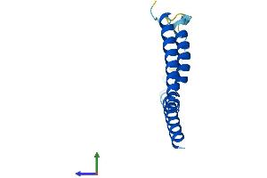 AlphaFold protein structure predicition of Mouse Recombinant mt-Nd3 Protein, UniprotID P03899 (MT-ND3 Protein (AA 1-115) (His tag))
