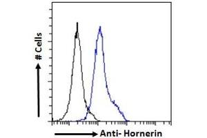 ABIN238644 Flow cytometric analysis of paraformaldehyde fixed A549 cells (blue line), permeabilized with 0.