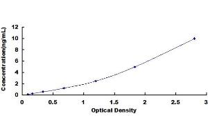 Uridine Phosphorylase 1 (UPP1) ELISA Kit