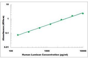 Representative Standard Curve (LUM ELISA Kit)