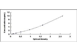 Typical standard curve (SYN1 ELISA Kit)