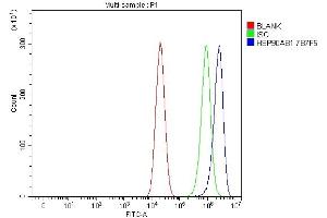 Flow Cytometry analysis of CACO-2 cells using anti-Hsp90 beta/HSP90AB1 antibody (ABIN7602784).